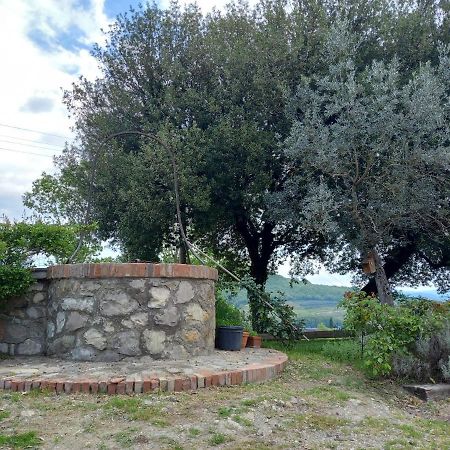 Agriturismo Riparossa Allerona Eksteriør billede
