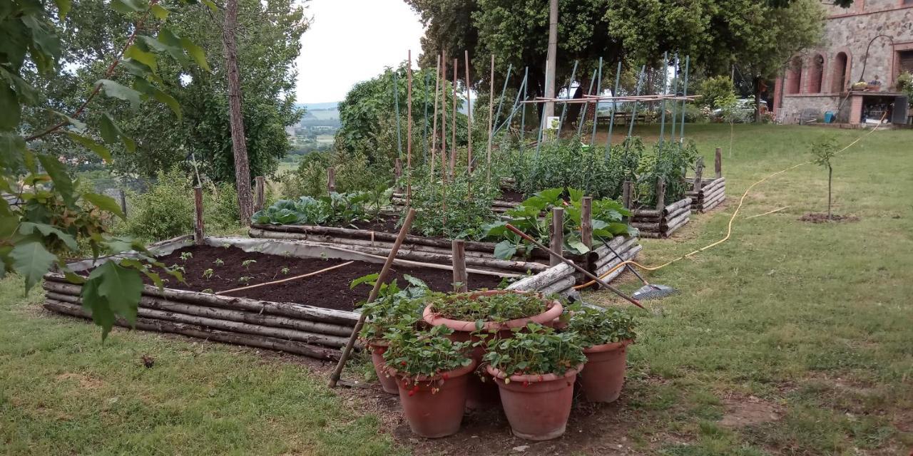 Agriturismo Riparossa Allerona Eksteriør billede