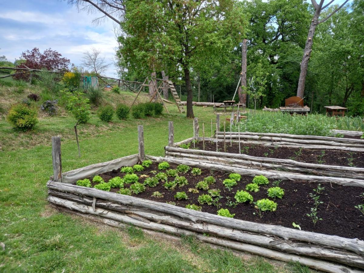 Agriturismo Riparossa Allerona Eksteriør billede