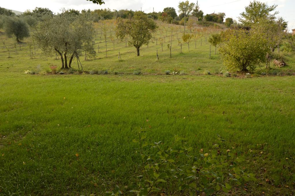Agriturismo Riparossa Allerona Eksteriør billede