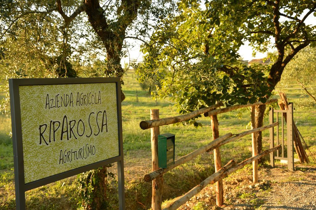 Agriturismo Riparossa Allerona Eksteriør billede