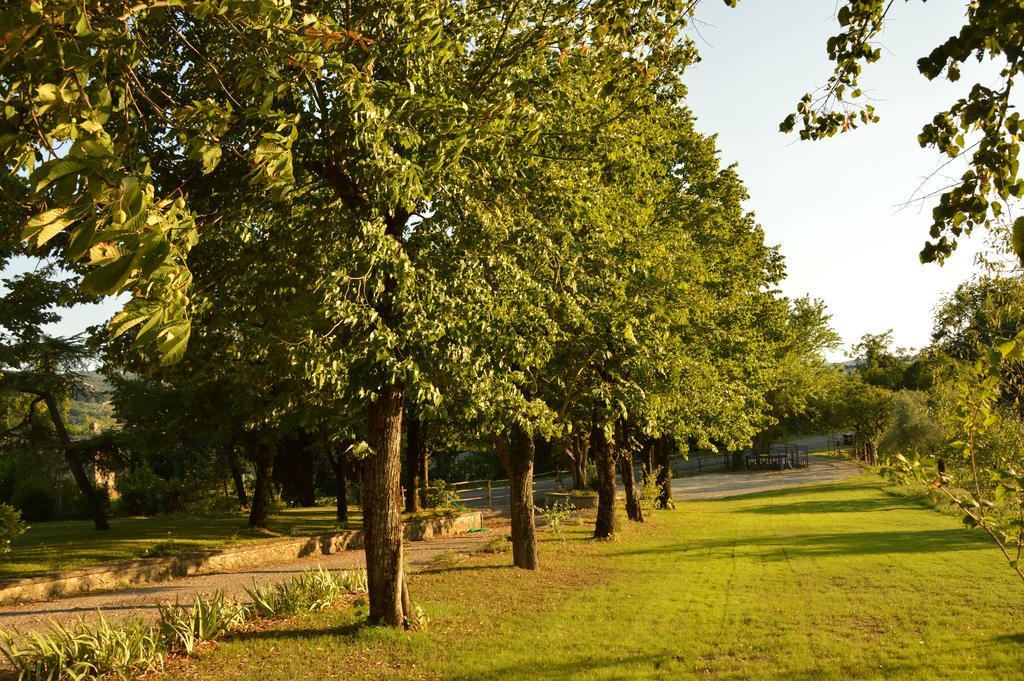 Agriturismo Riparossa Allerona Eksteriør billede