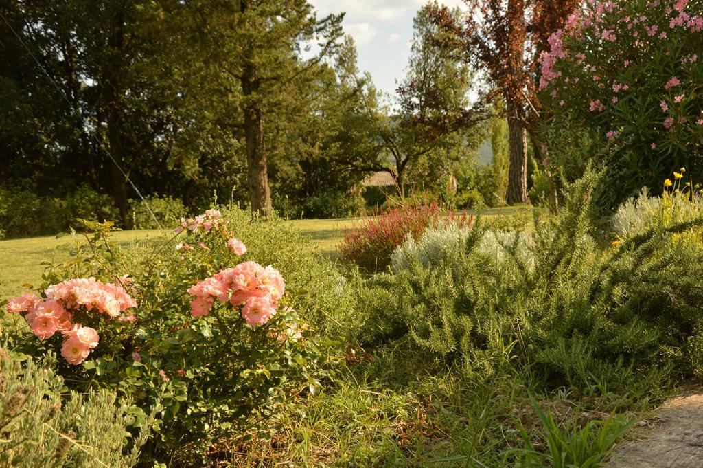 Agriturismo Riparossa Allerona Eksteriør billede
