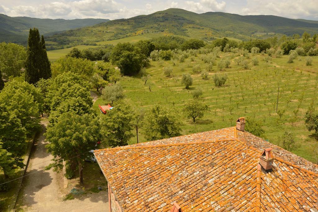 Agriturismo Riparossa Allerona Eksteriør billede