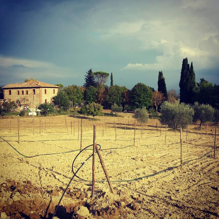 Agriturismo Riparossa Allerona Eksteriør billede