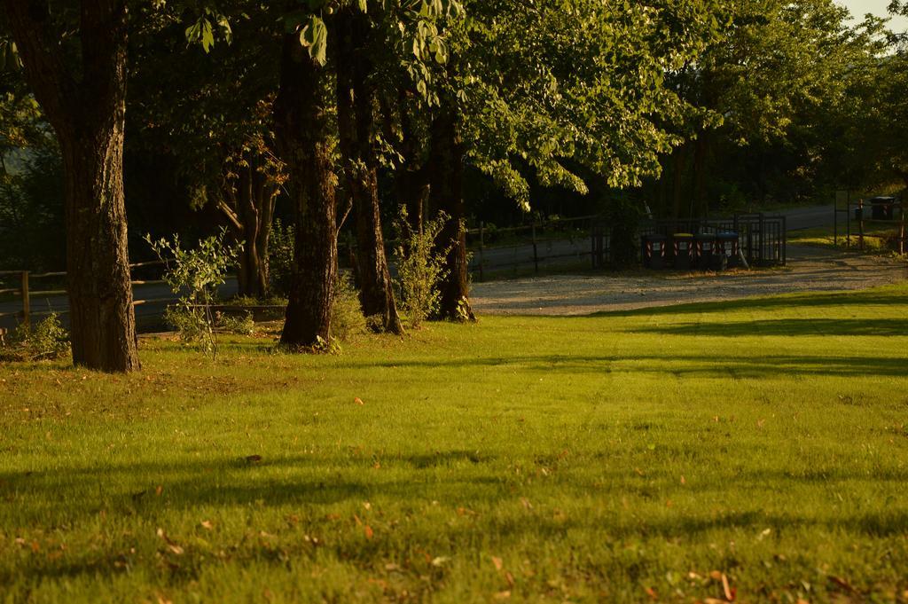 Agriturismo Riparossa Allerona Eksteriør billede