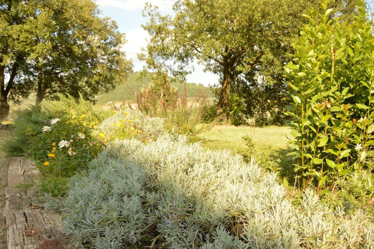 Agriturismo Riparossa Allerona Eksteriør billede
