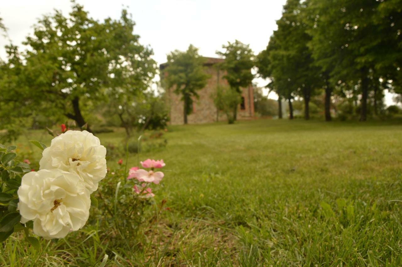 Agriturismo Riparossa Allerona Eksteriør billede