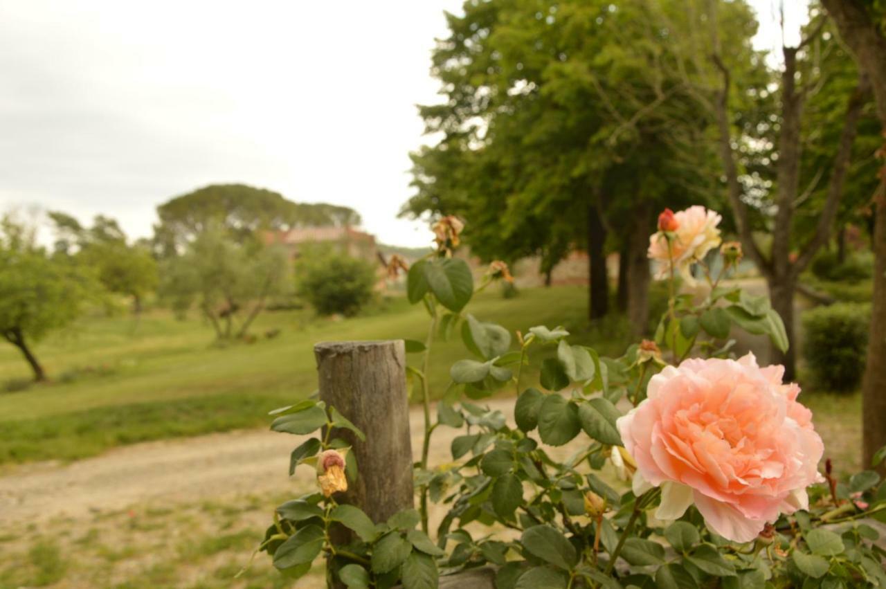 Agriturismo Riparossa Allerona Eksteriør billede