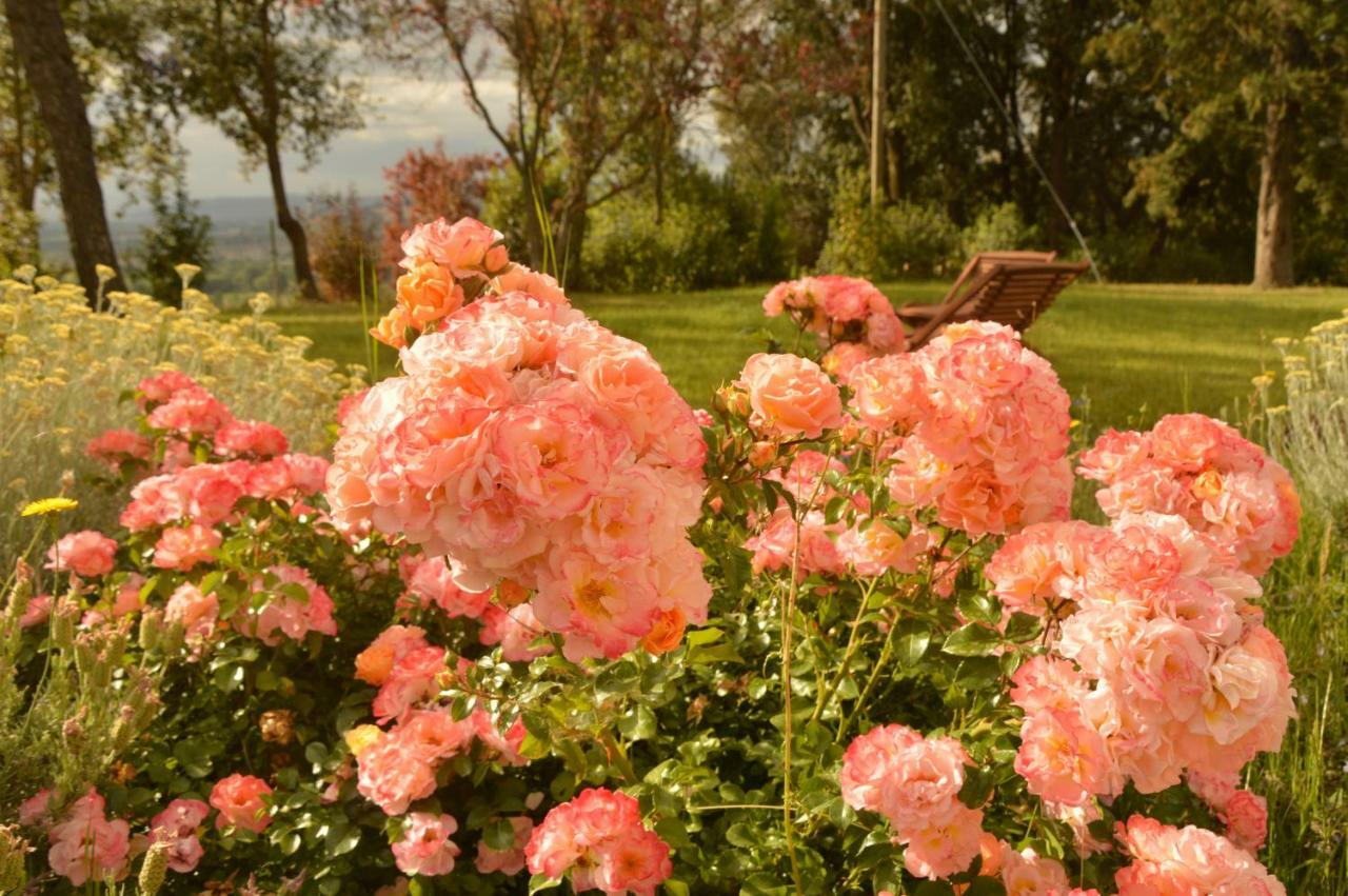 Agriturismo Riparossa Allerona Eksteriør billede